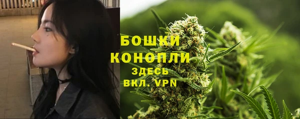 стафф Белокуриха
