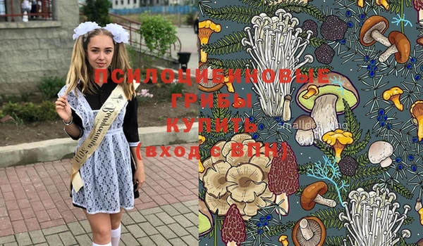 прущие крисы Богородск