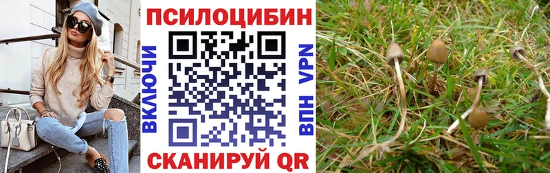 цены   Воркута  ОМГ ОМГ рабочий сайт  Псилоцибиновые грибы Psilocybe 