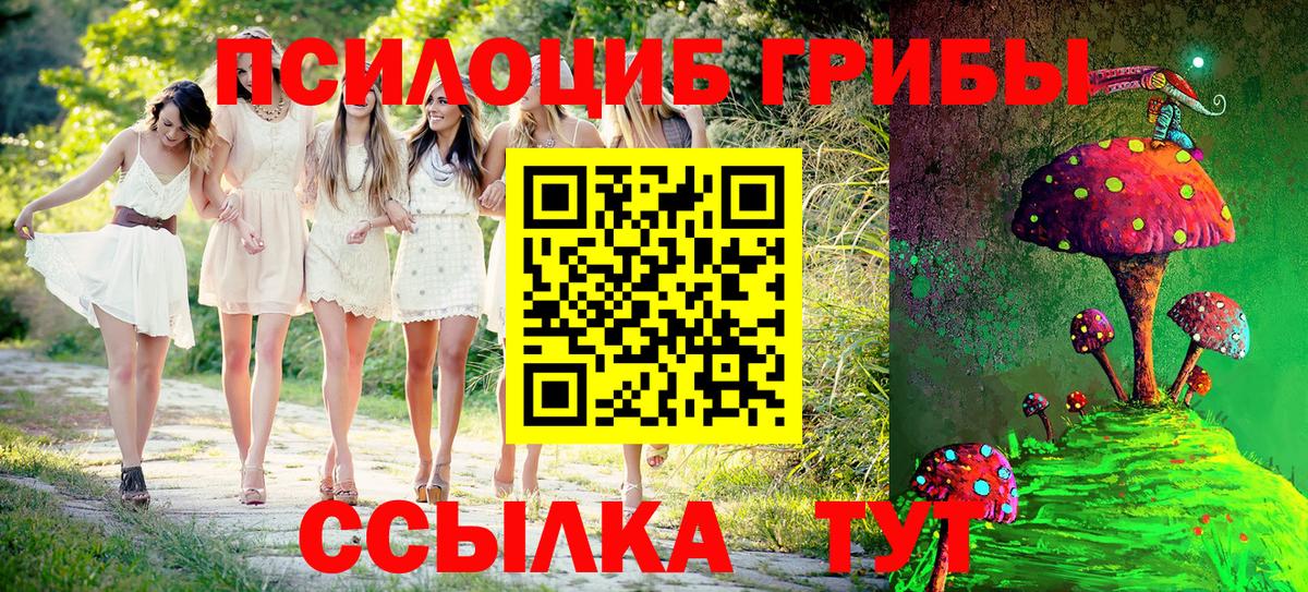 Галлюциногенные грибы мухоморы Воркута